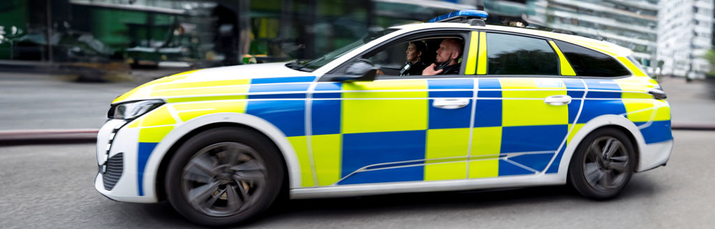 Detail of the logo on a police car