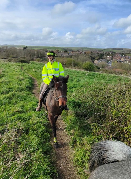 Female mounted officer on horse in countryside